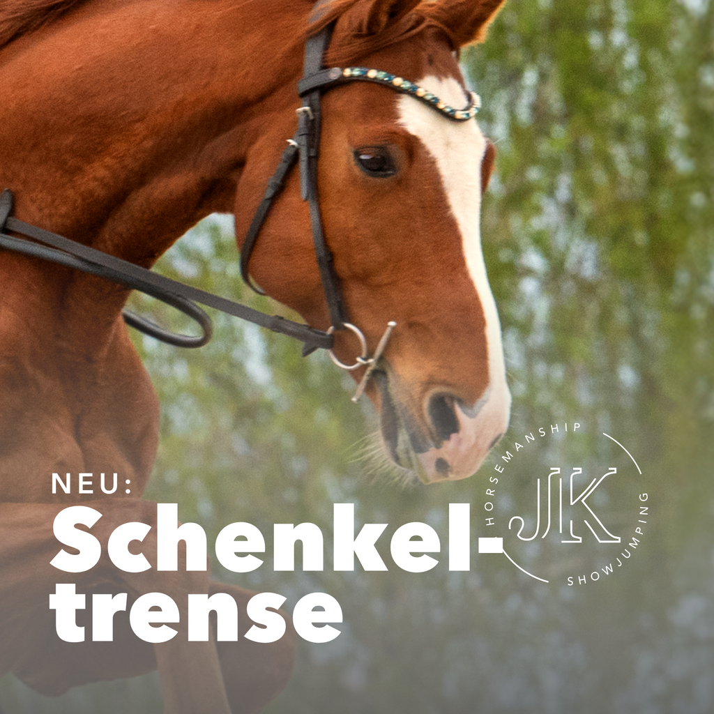 Schenkeltrense